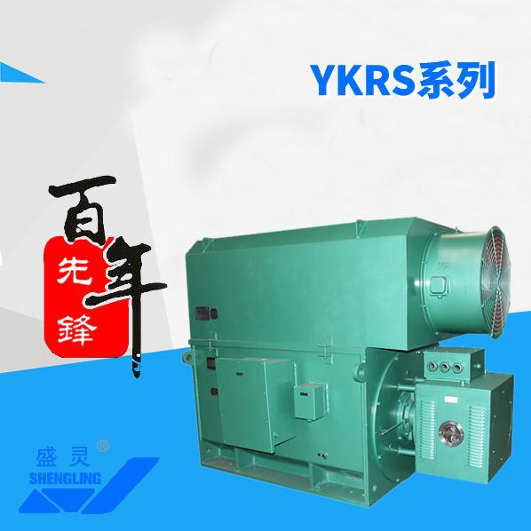 YKRS系列_YKRS系列生產廠家_YKRS系列直銷_維修-先鋒電機