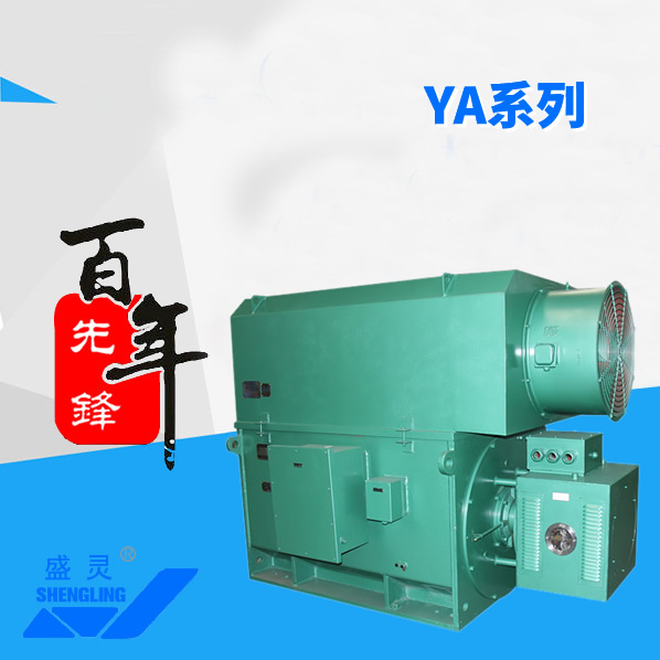 YA系列_YA系列生產廠家_YA系列直銷_維修-先鋒電機